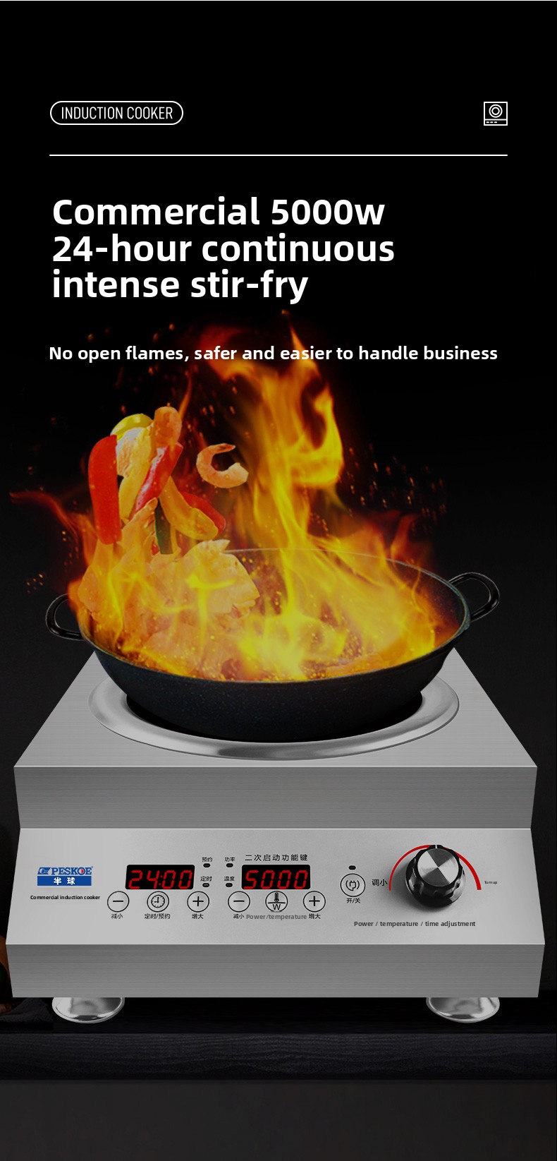 220V Commercial Induction Cook - đánh giá và giá Induction Cooktop Portable